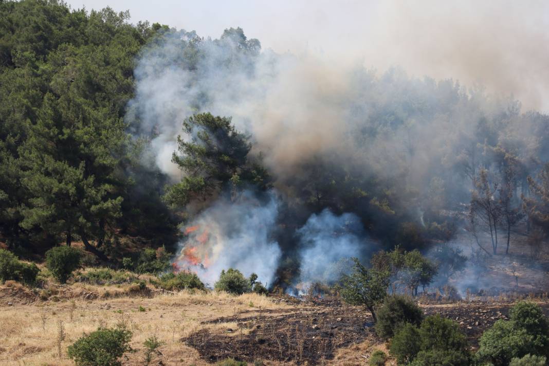 Bornova’daki orman yangını 23 saat sonra kontrol altına alındı 9